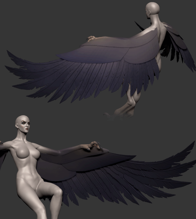 角色翅膀模型设置 - 瑞云渲染